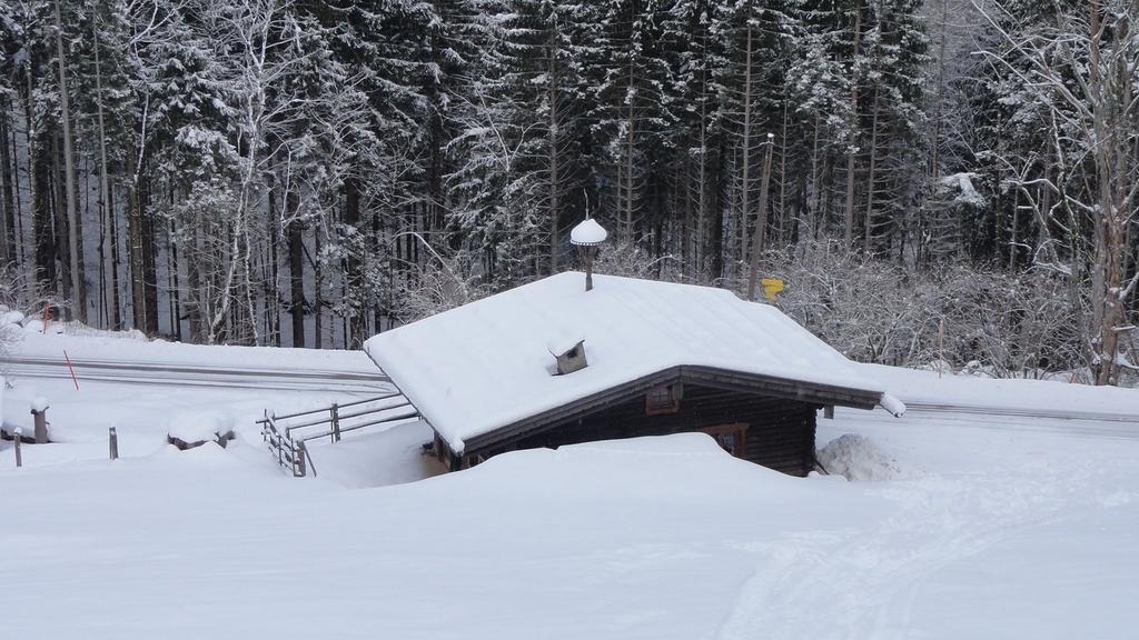 Almbruennerl Die Almhuette Auf Der Raffner Alm Ruhpolding Rom bilde